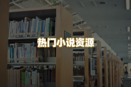 热门小说资源